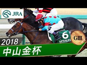 2018年 中山金杯（GⅢ） | セダブリランテス | JRA公式