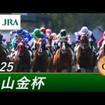 2025年 中山金杯(GⅢ) | 第74回 | JRA公式