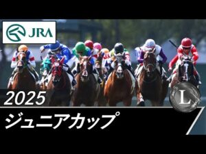 2025年 ジュニアカップ（L） | JRA公式