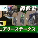 【調教動画】2025年 フェアリーステークス|JRA公式