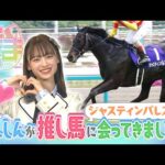 【うま活】しんしんが推し馬に会ってきました!ジャスティンパレス編【名場面・特別配信(2023年10月取材)】