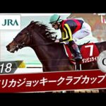 2018年 アメリカジョッキークラブカップ(GⅡ) | ダンビュライト | JRA公式