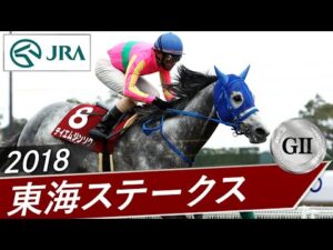 2018年 東海ステークス（GⅡ） | テイエムジンソク | JRA公式