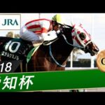 2018年 愛知杯(GⅢ) | エテルナミノル | JRA公式