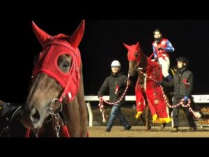 アタック！地方競馬｜第304回｜ありがとう　スピーディキック（浦和）｜NAR公式