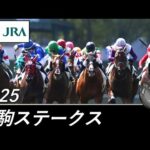 2025年 若駒ステークス(L) | JRA公式