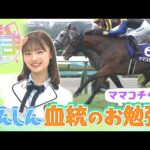 【うま活】しんしんが血統のお勉強!ソダシの妹!ママコチャ編【名場面・特別配信(2023年11月取材)】