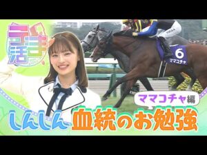 【うま活】しんしんが血統のお勉強！ソダシの妹！ママコチャ編【名場面・特別配信（2023年11月取材）】