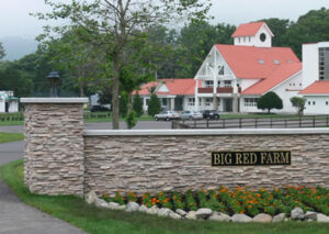 ラフィアンがダービー勝つにはどうしたらいい