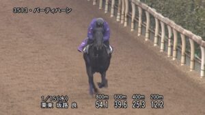 【京成杯2025】追い切り/動きを見極め勝利に近づけ
