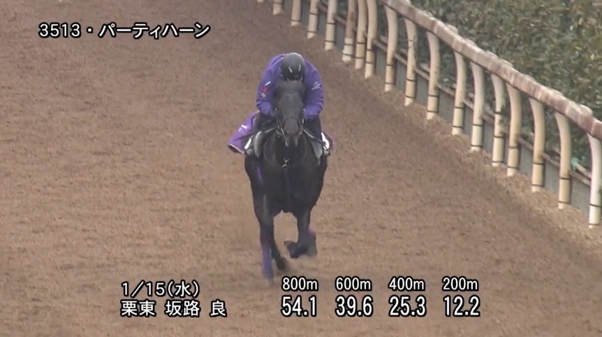 【京成杯2025】追い切り/動きを見極め勝利に近づけ