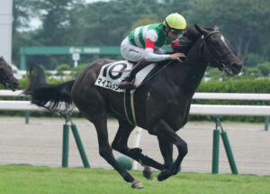 フェアリーSシホリーン、シンザン記念マイエレメントと注目馬が除外