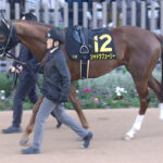 【競馬予想】[2]第63回京都金杯(GⅢ) /2025