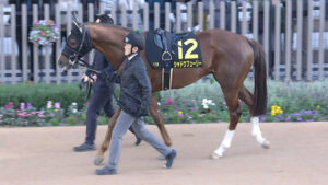 【競馬予想】[2]第63回京都金杯(GⅢ) /2025