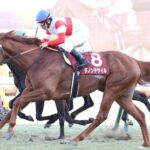 ダノンデザイルの次走の騎手