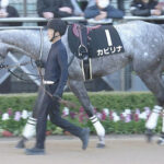 【競馬予想】[1]第30回シルクロードステークス(GⅢ) /2025