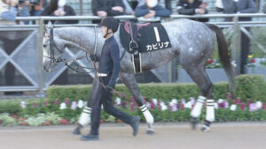 【競馬予想】[1]第30回シルクロードステークス(GⅢ) /2025