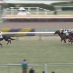 【競馬】フェアリーSは戸崎騎乗のエリカエクスプレスがV