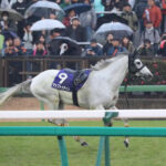 アップトゥデイトとかメイショウドトウとかの最強の2番手マジで好き過ぎる