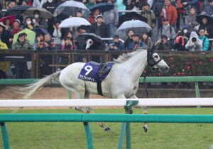 アップトゥデイトとかメイショウドトウとかの最強の2番手マジで好き過ぎる