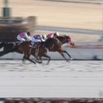 【プロキオンステークス2025】結果・動画/サンデーファンデーがしぶとく逃げ切る
