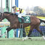 【中山金杯】4番人気のアルナシーム差し切り重賞2勝目!クリスマスパレード4着