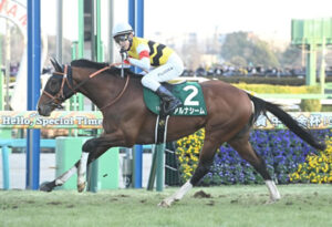 【中山金杯】4番人気のアルナシーム差し切り重賞2勝目!クリスマスパレード4着
