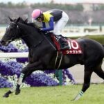 シャケトラについて語るスレ
