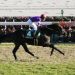 クロワデュノールよりリラエンブレムの方が強いよな?