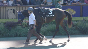 1番人気9着レイユール嶋田「敗因は折り合いだけですね」