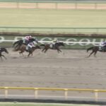 【根岸ステークス2025】出走予定馬・騎手/サウスポーが集う舞台