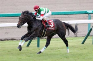 新種牡馬リーディングサイアー、サートゥルナーリアについて知ってること