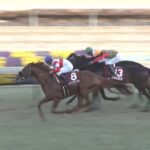 【AJCC 2025】結果・動画/ダノンデサイルが格の違いを見せる