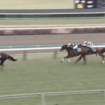 【フェアリーステークス2025】結果・動画/エリカエクスプレスが突き抜け圧勝