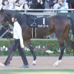 【競馬予想】[1]第65回京成杯(GⅢ) /2025