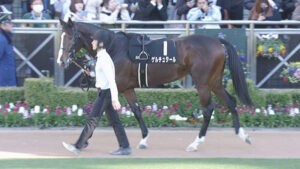 【競馬予想】[1]第65回京成杯(GⅢ) /2025