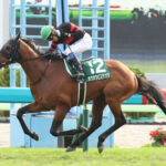 【競馬予想】[1] 第74回中山金杯(GⅢ) /2025