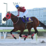 もはやダート馬が最優秀3歳牡馬になるには米三冠馬にでも成らないと無理だな