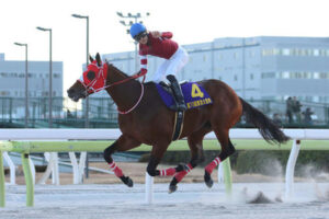 もはやダート馬が最優秀3歳牡馬になるには米三冠馬にでも成らないと無理だな