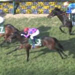 【競馬/アーリントンC】キョウヘイ買ってた下手糞どもwwwwwwww