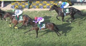 【競馬/アーリントンC】キョウヘイ買ってた下手糞どもｗｗｗｗｗｗｗｗ