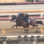【日経新春杯2025】追い切り/調教を見てわかる事