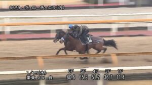 【日経新春杯2025】追い切り/調教を見てわかる事