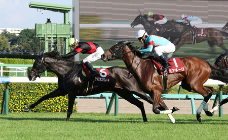 【競馬予想】[2] 第74回中山金杯(GⅢ) /2025