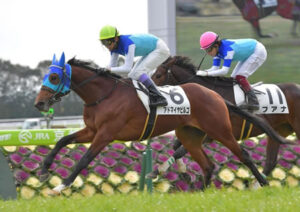 5億8000万円のアドマイヤビルゴが引退