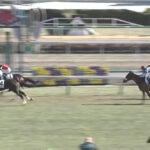 アロンズロッド、未勝利脱出なるか!?結果は・・・