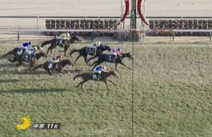 【競馬】京都金杯はキング騎乗のサクラトゥジュールがV