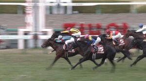 【競馬】シュウジの複勝に300万ぶっこんでる馬鹿がいてワロタw
