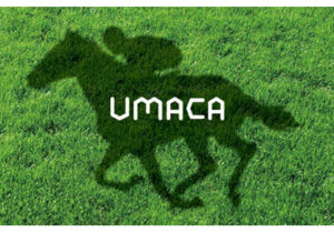 UMACAが普及しない理由