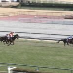 【日経新春杯2025】結果・動画/ロードデルレイが圧勝で重賞初V